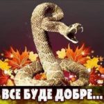 МП – до моменту покаяння і визнання її Вселенським патріархом – секта, – Дзвінка Торохтушко