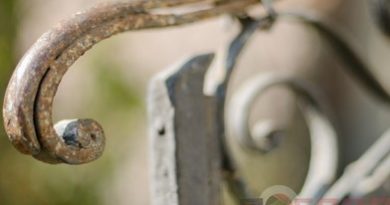<strong>Мандрівки Тернопільщиною. Привіти з минулого століття</strong> <strong>Мандрівки Тернопільщиною. Привіти з минулого століття</strong>