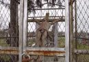 Залишки зруйнованого у Тернополі Парафіяльного костелу знайшли на сільському кладовищі (фото)
