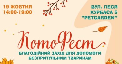 Благодійний захід “КотоФест” у Тернополі: допомога безпритульним тваринам та тепла атмосфера для усіх Благодійний захід “КотоФест” у Тернополі: допомога безпритульним тваринам та тепла атмосфера для усіх