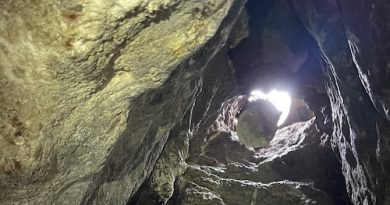 У печері «Вертеба» на Тернопільщині готують оновлений туристичний маршрут: після зими – вода, після розкопок – нові можливості У печері «Вертеба» на Тернопільщині готують оновлений туристичний маршрут: після зими – вода, після розкопок – нові можливості