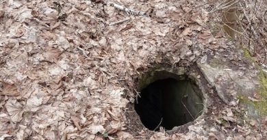 У Кременецькому ботсаду попереджають про небезпечні провалля до 10 метрів У Кременецькому ботсаду попереджають про небезпечні провалля до 10 метрів