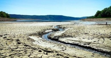 Дністер вмирає: що станеться, якщо “Великі болота” не відновити